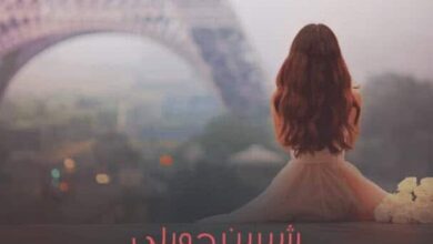 تحميل رواية السادسة مساء بتوقيت باريس pdf – شيرين جويلي